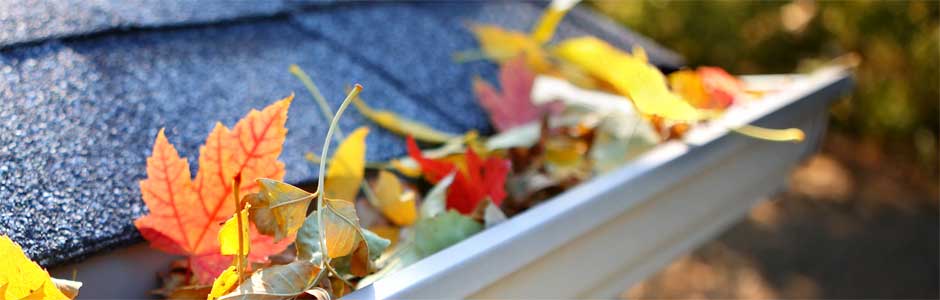 Dakgoot_schoonmaken_002